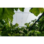 Пленка тепличная Agriplast Agrilux 7-слойная 150мкм 16м, в размотку от 5м (кратно 1м) Пленка тепличная Agriplast Agrilux 7-слойная 150мкм 16м, в размотку от 5м (кратно 1м)
